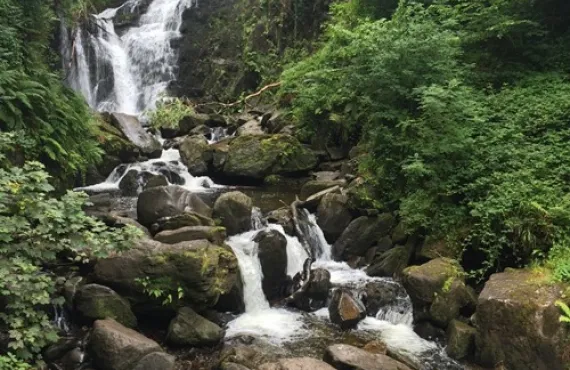 Kenmare 2015