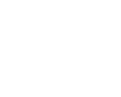 ap-hogeschool-v2.png