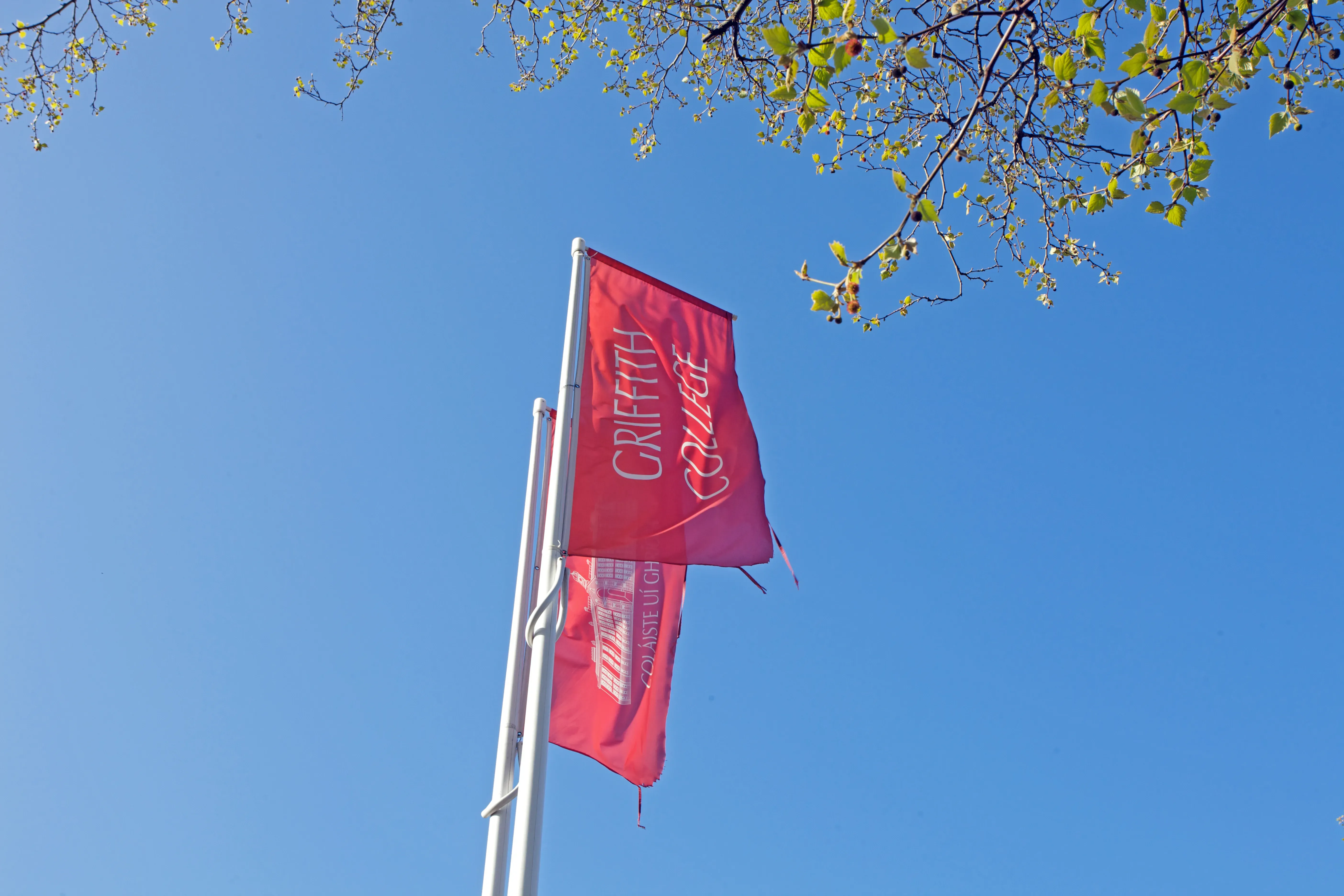 Griffith College