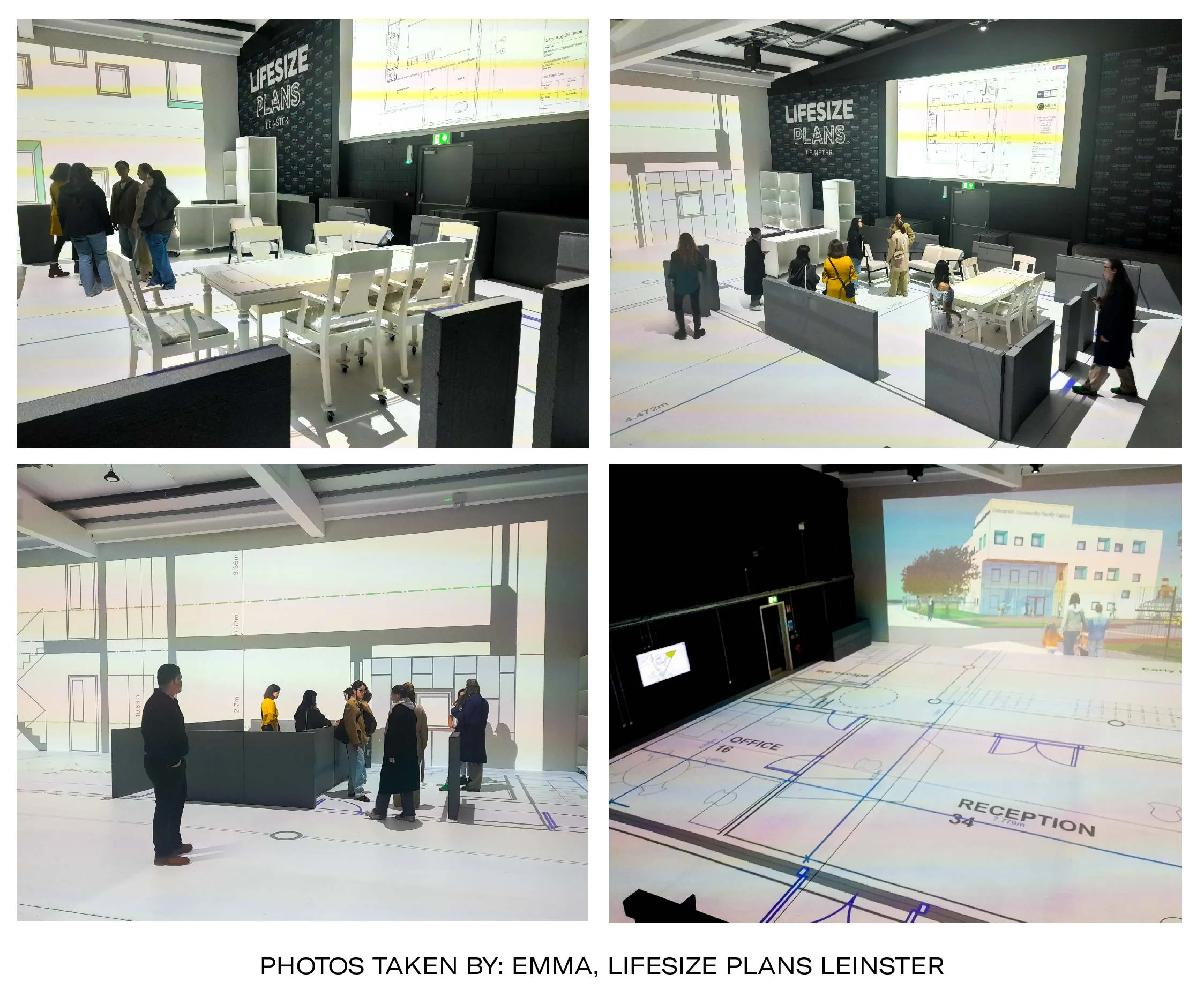 lifesize plans leinster photos
