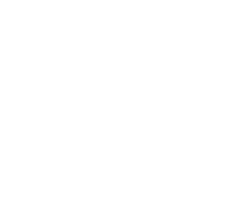 ALP F2F PLAT REV 2020.png