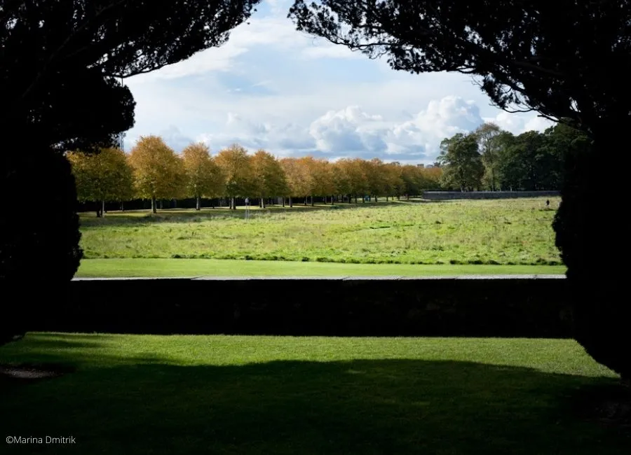 Photo by Marina Dmitrik Photo of a park in Dublin 8 by Marina Dmitrik