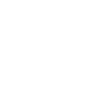 Professional Law Icon