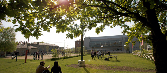 counselling courses dublin		
