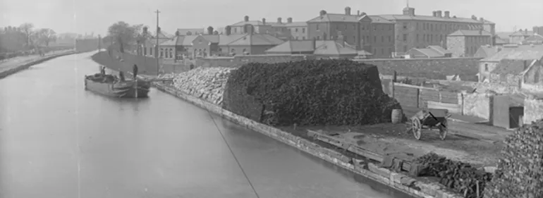 Wellington Barracks from the canal c.1900. (Courtesy of the National Library of Ireland) Wellington Barracks from the canal c.1900.