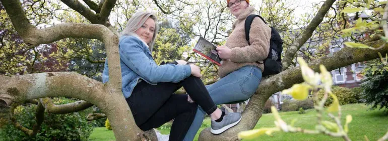 Various sstudy modes at Griffith College Two students sitting in a tree at Griffith College's main Dublin campus