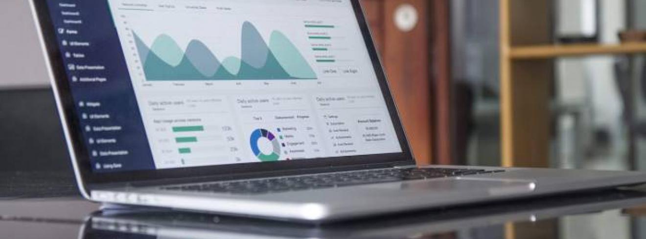 Professional Accountancy data A computer screen showing graphs and data